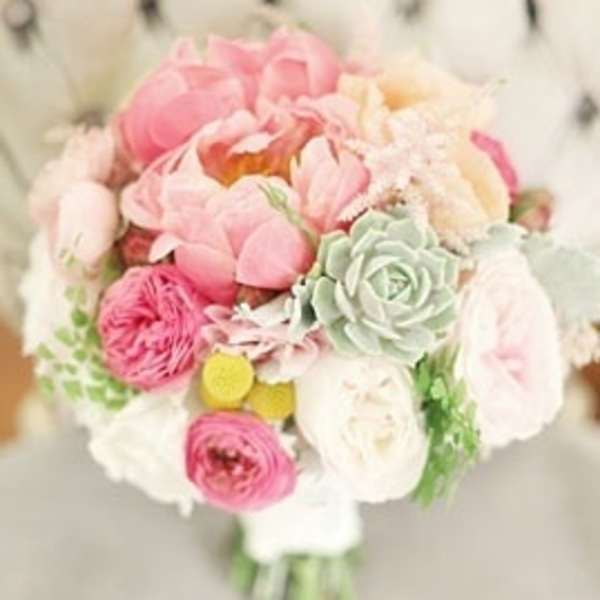 Pastel Beauty