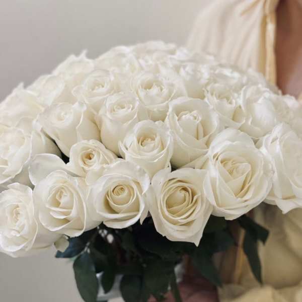 #75 Pure White