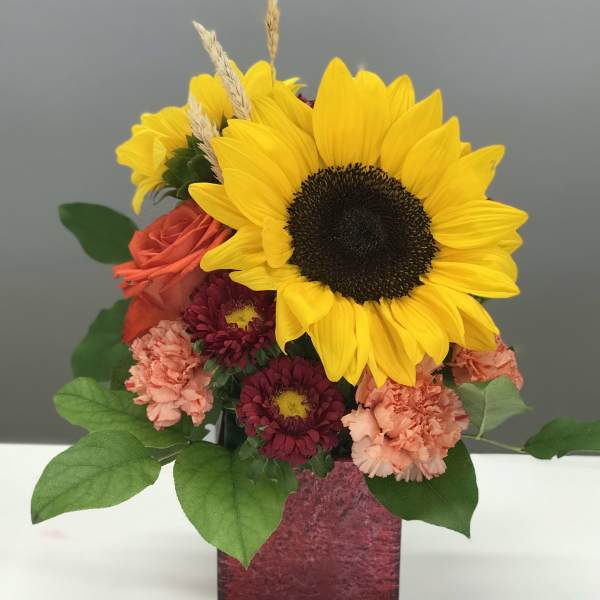 Sunflower's Smile