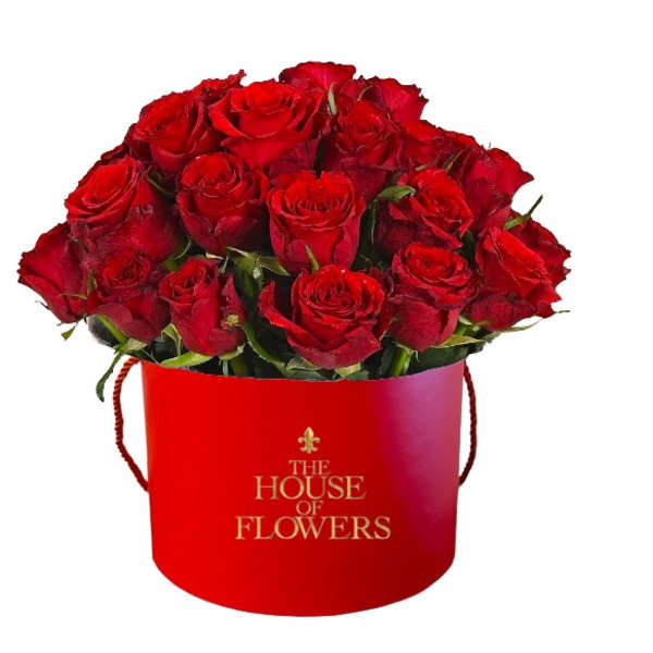All Red Hat Box