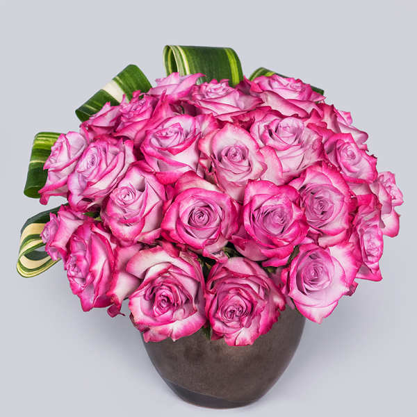 Rose Gala