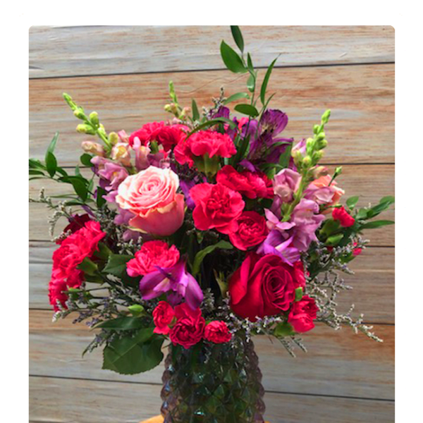 Fuchsia Memories