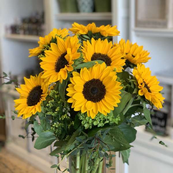 Sunflowers Sunrise