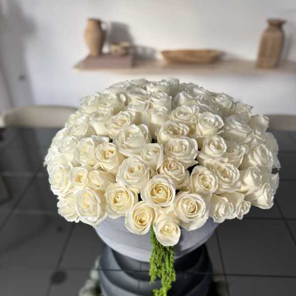 White Elegance