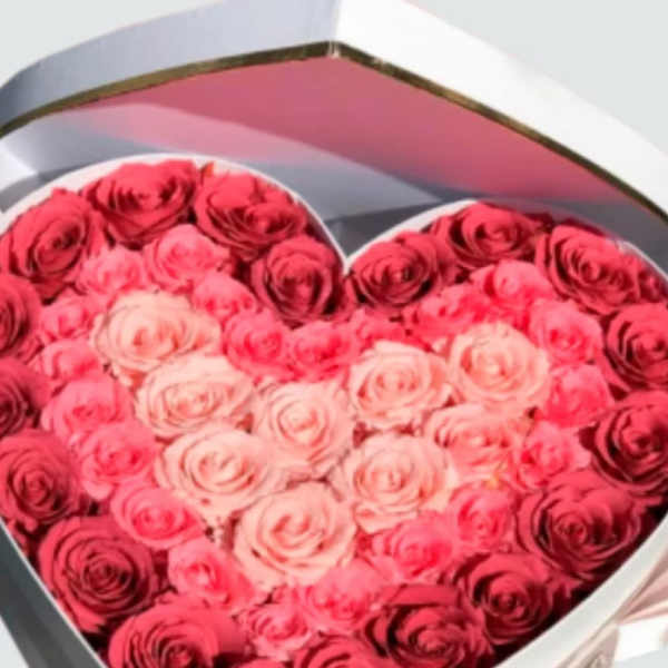 Heart-shaped box filled with pink and red roses