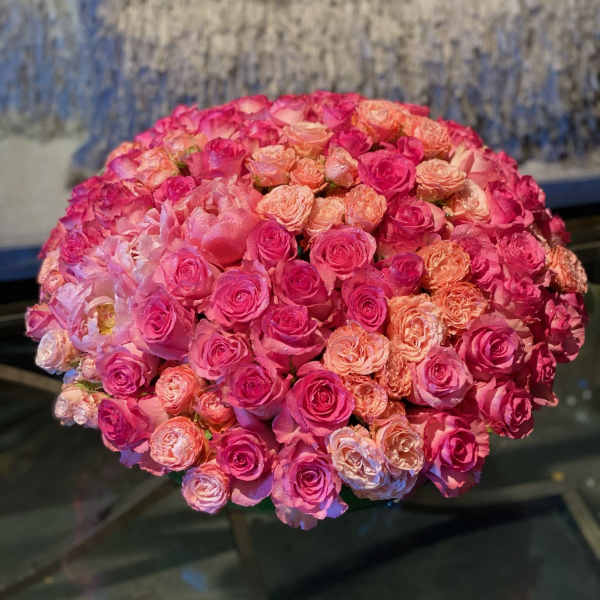 Rosé All Day