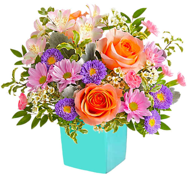 Aqua Rose