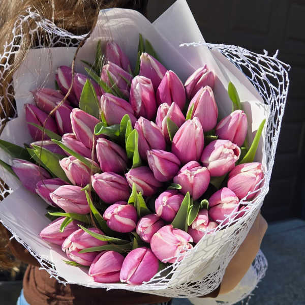 Tulip Embrace