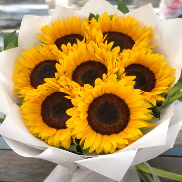 Sunflower Deluxe