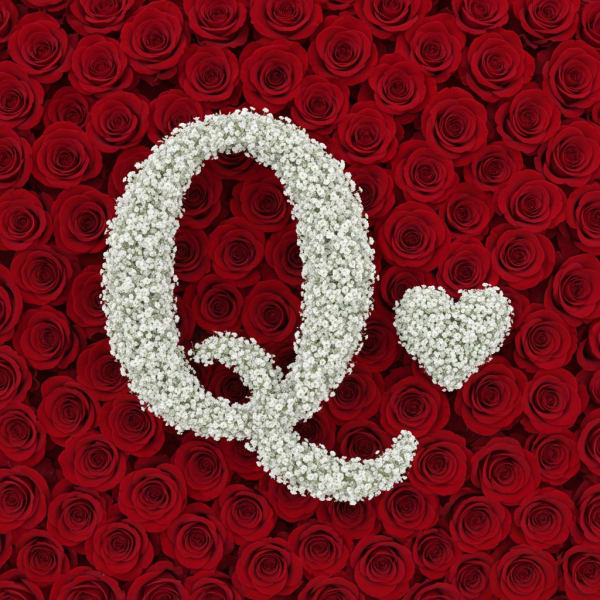 Baby's Breath Letter - Q
