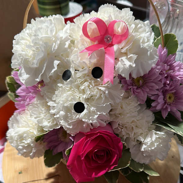Sweet puppy