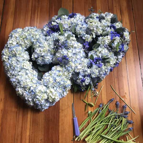 Blue Harmony