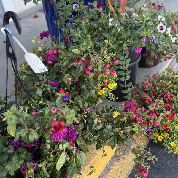 Outdoor hanging basket