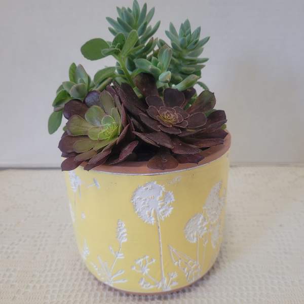 Delicate Yellow