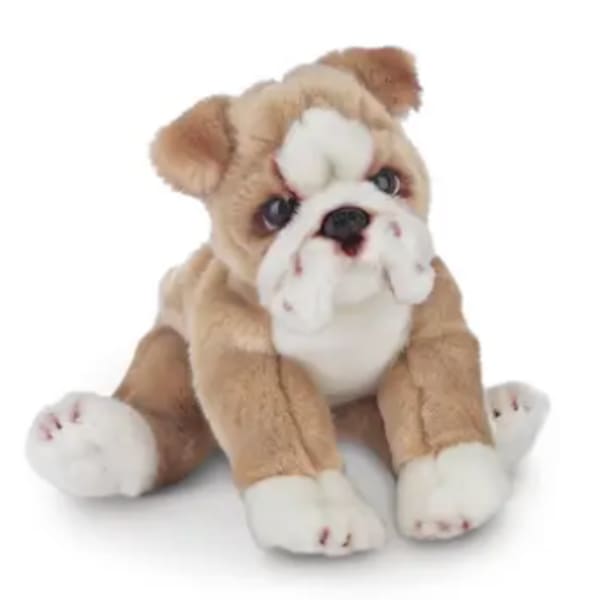 Small tan and white bulldog stuffed animal sitting with legs splayed forward