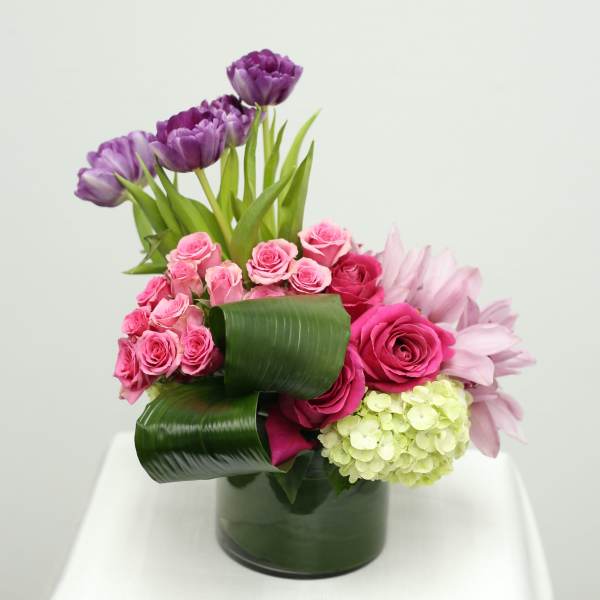 Vibrant Blooms