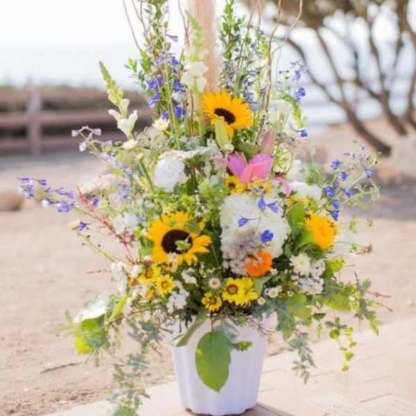 Wildflower