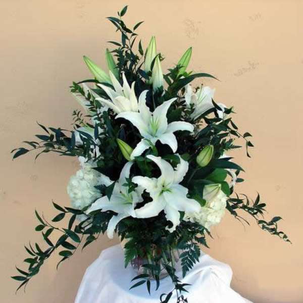 Casablanca lillies