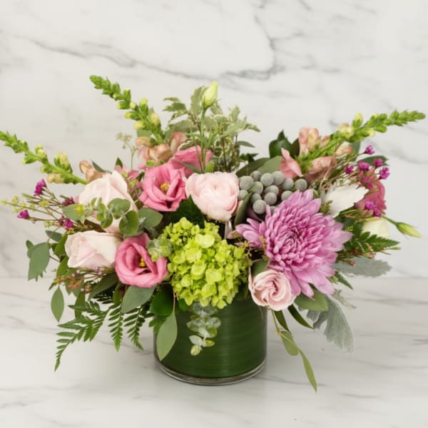 Blush Classic
