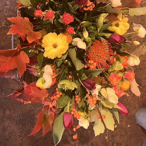 Autumn Ember