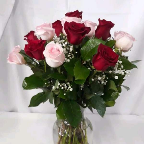 Red And Pink
