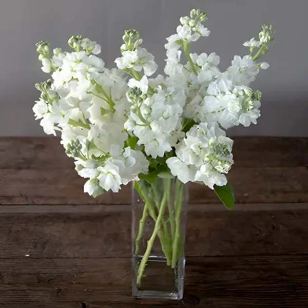 White flowers arranged in a clear glass vase