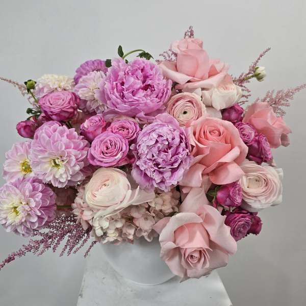 The Blush Romance