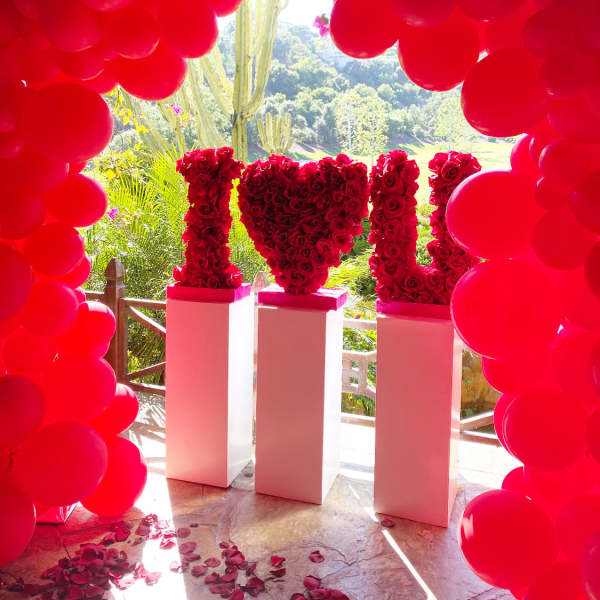 Love IN Bloom