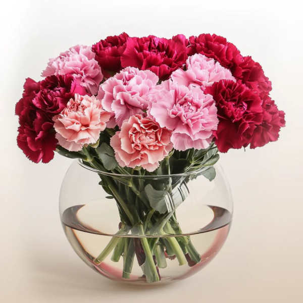 Only carnations
