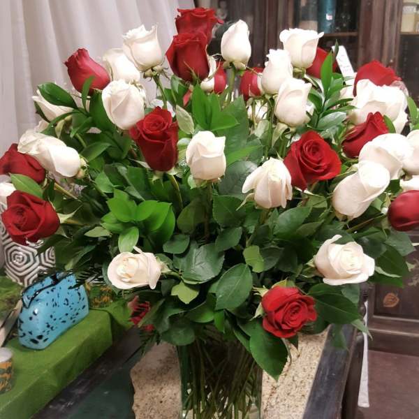 Luxury Roses