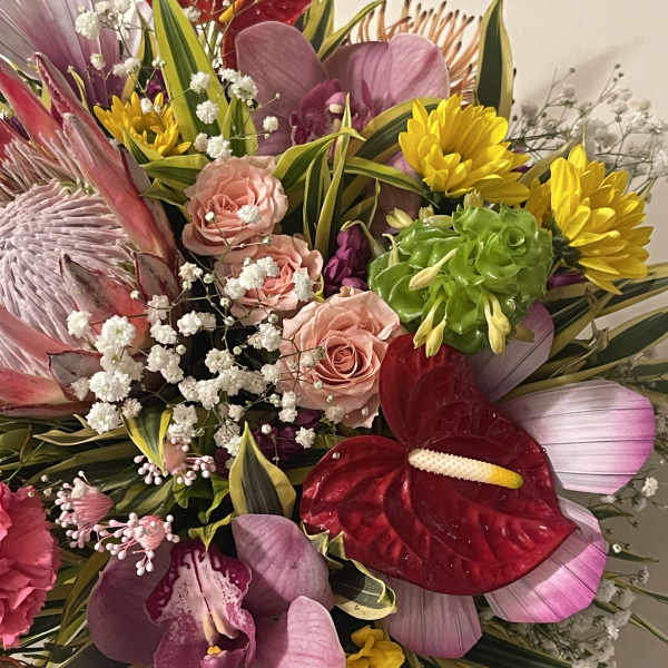 The special, a nice exotic mix