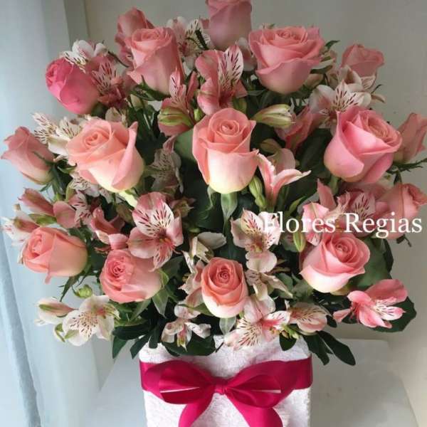 Festival Roses