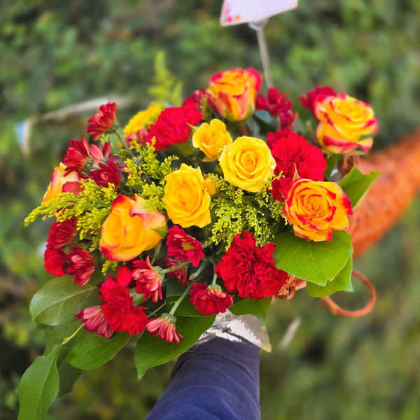 Thankful Cornucopia