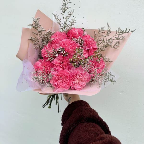 Carnation Sensation
