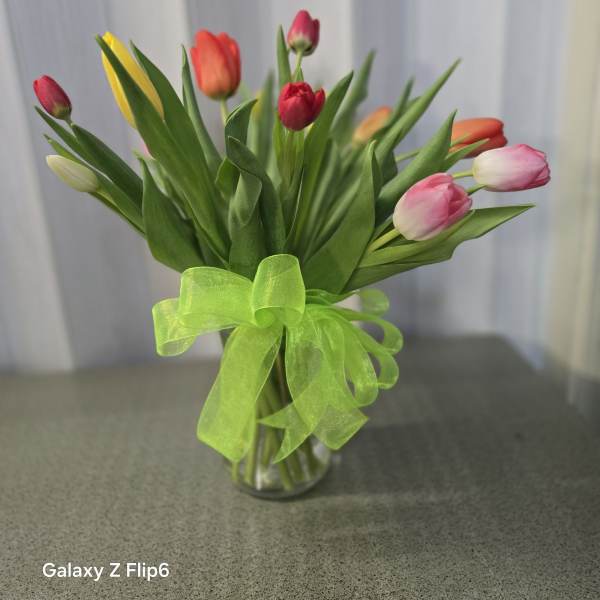 Tulips mix colors