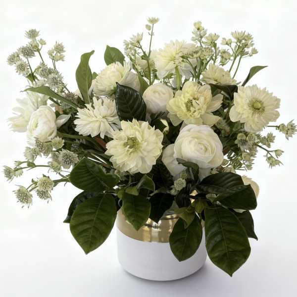 Classic Elegance