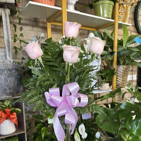 Pink-Pink- Pink