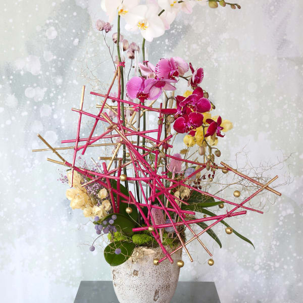 Scupture Orchid