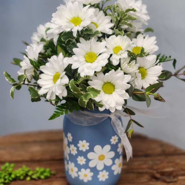 Carol’s Daisies