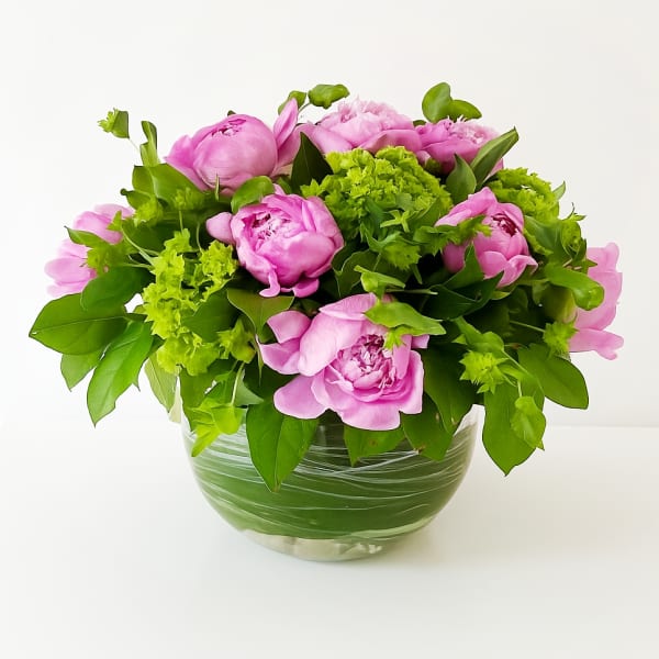Peony Garden