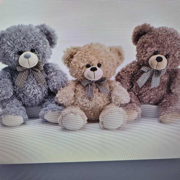 Medium Bear