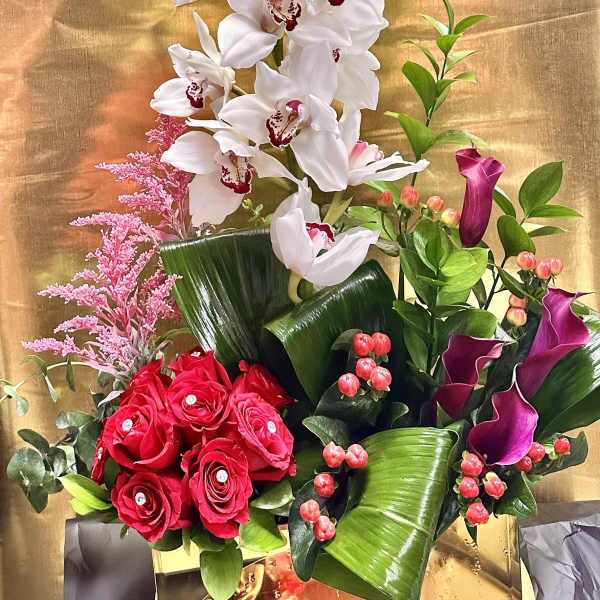 Beauty orchid