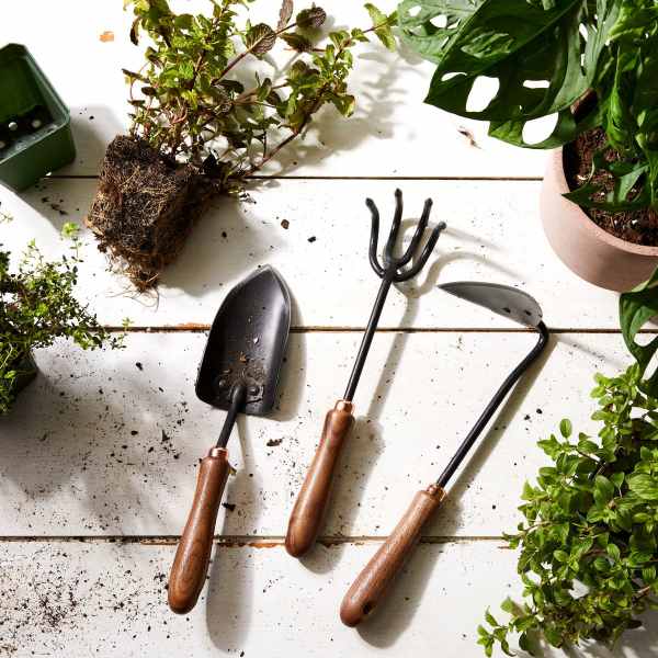 Artistical Garden Design Landscaping