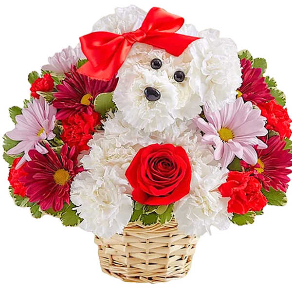 Love Pup