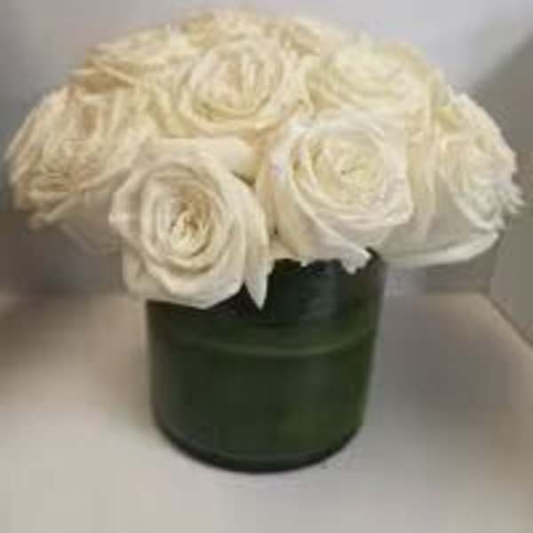 ROSES ALL DAY