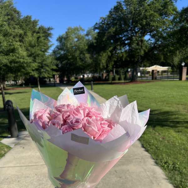 Classic pink roses