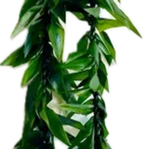 TI leaf Lei Maile style