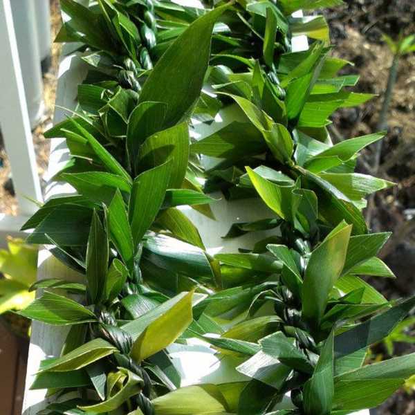 Braided green leaf leis laid out in parallel on a light surface.