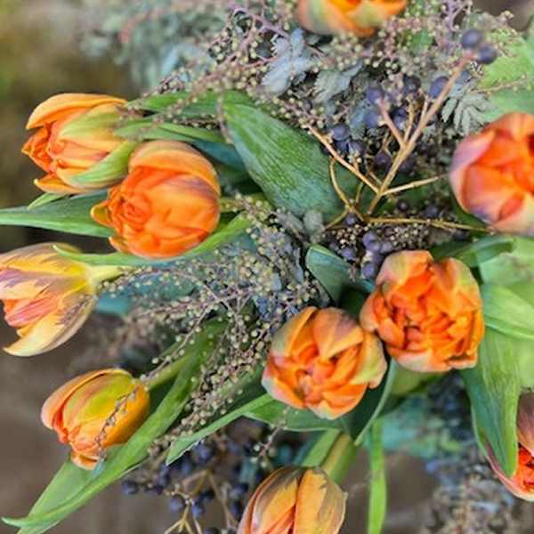 Tulips