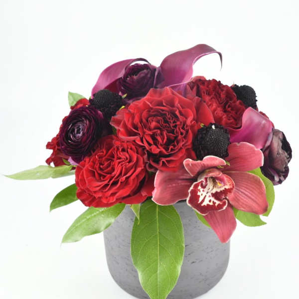 Sultry Blooms